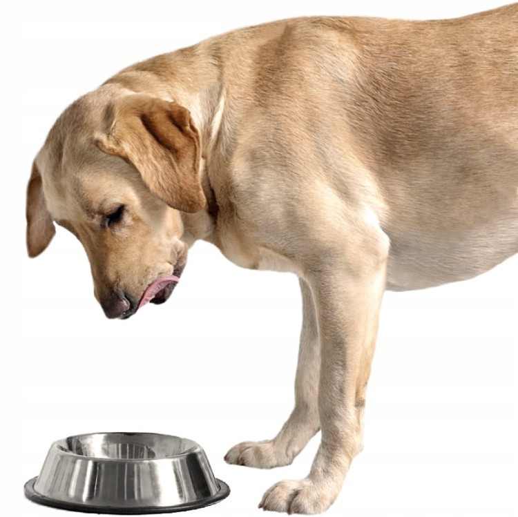 e218f2131d6e336fb10d4719a4e18a6a