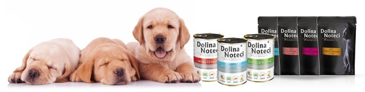 1c056610def35cc155db17553c6f719f