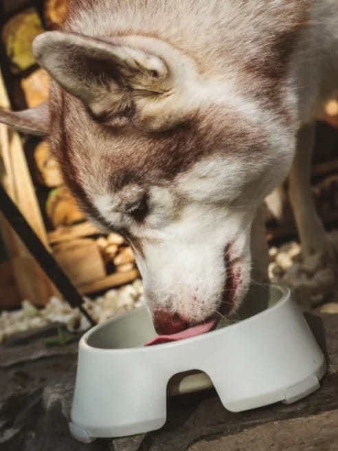 0662df1d76c9f192980ec784c5c7bf00