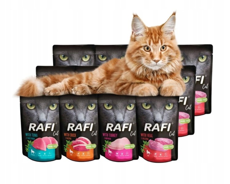 RAFI mokra karma dla kota MIX 4 smaków 12x100g BEZZBOŻOWA Dolina Noteci