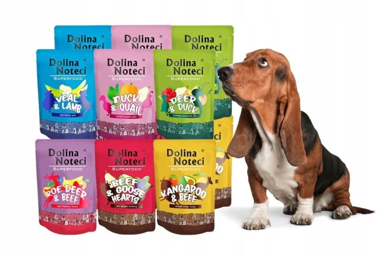 DOLINA NOTECI Superfood Mokra karma dla psa MIX smaków saszetki 12x300g