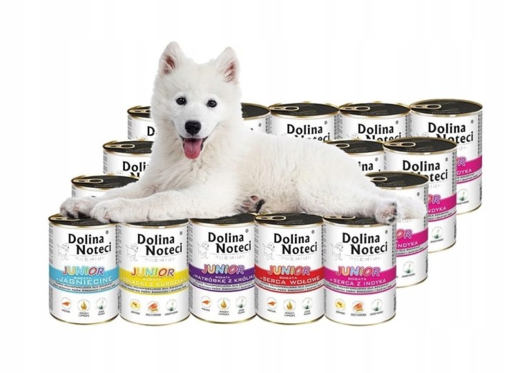 DOLINA NOTECI Premium Mokra karma dla psa junior MIX smaków 20x400g