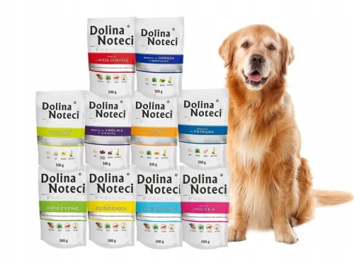 DOLINA NOTECI PREMIUM Mokra karma dla psa MIX smaków 10x500g