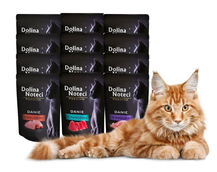 DOLINA NOTECI PREMIUM Mokra karma dla kota DANIE MIX smaków 12x85g