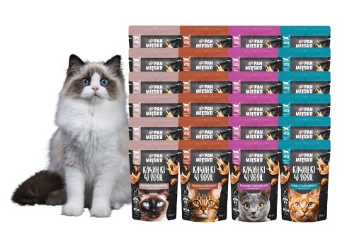 PAN MIĘSKO Karma mokra dla kota Kawałki w sosie MIX smaków 24x85g