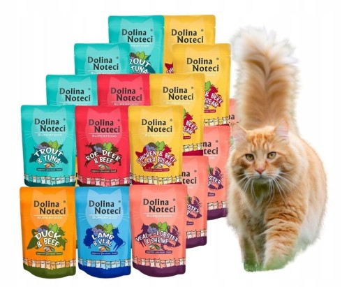DOLINA NOTECI SUPERFOOD mokra karma dla kota mix smaków 20x85g