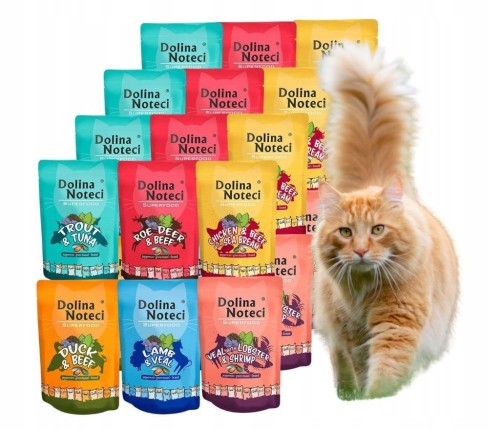 DOLINA NOTECI SUPERFOOD mokra karma dla kota mix smaków 24x85g