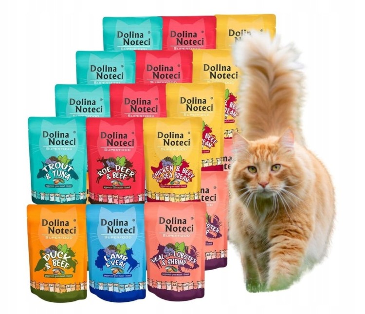 DOLINA NOTECI SUPERFOOD mokra karma dla kota mix smaków 24x85g