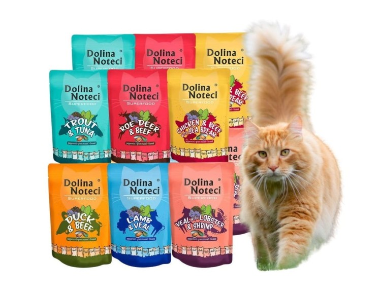 DOLINA NOTECI SUPERFOOD mokra karma dla kota mix smaków 12x85g