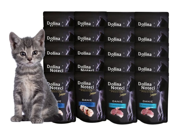 DOLINA NOTECI PREMIUM Mokra karma dla kota JUNIOR DANIE 20x85g