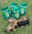 GUTSY Puppy Naturalna sucha karma dla szczeniąt Chicken&Insect 2kg