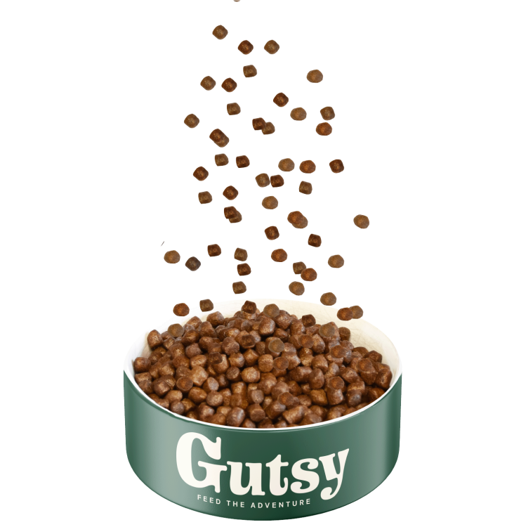 GUTSY Naturalna sucha karma dla psów Chicken&Insect 2kg MAŁE RASY