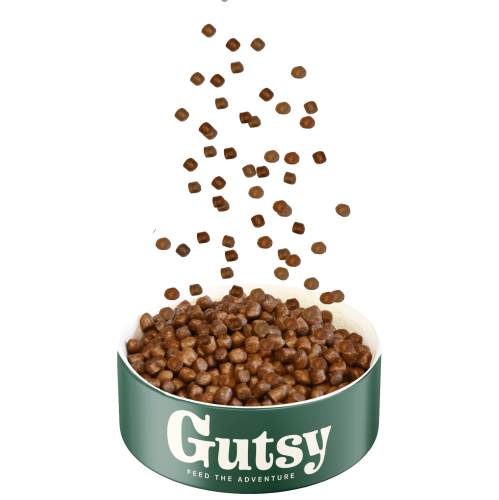 GUTSY Naturalna sucha karma dla psów Chicken&Insect 6kg MAŁE RASY