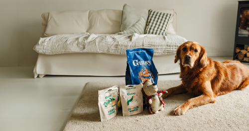 GUTSY Naturalna sucha karma dla psów dużych ras Fish&Insect 2kg