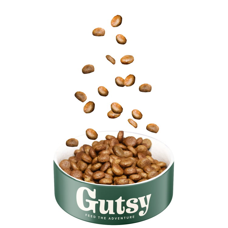 GUTSY Naturalna sucha karma dla psów dużych ras Fish&Insect 10kg