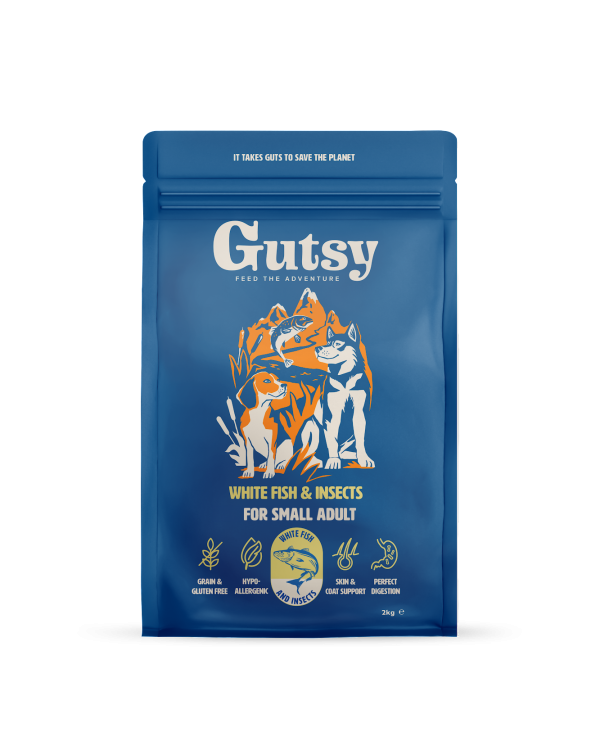 GUTSY Naturalna sucha karma dla psów Fish&Insect 2kg MAŁE RASY