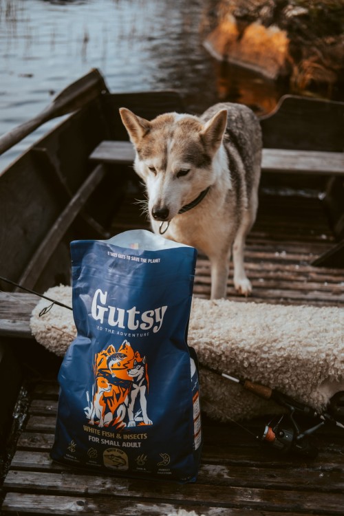GUTSY Naturalna sucha karma dla psów Fish&Insect 2kg MAŁE RASY