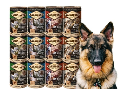 CARNILOVE Mokra karma dla psa WILD MEAT Mix Smaków 12x400g