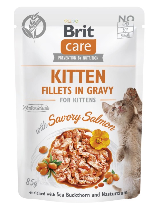 BRIT Care Cat KITTEN Mokra karma dla kociąt Łosoś w sosie 85g
