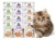 BRIT Care Cat KITTEN Mokra karma dla kociąt w sosie MIX SMAKÓW 12x85g