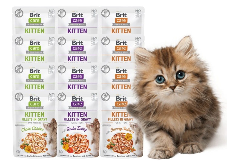 BRIT Care Cat KITTEN Mokra karma dla kociąt w sosie MIX SMAKÓW 12x85g