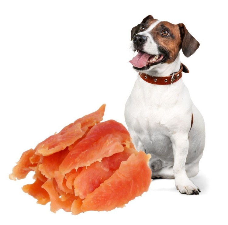 HILTON Miękkie piersi z kurczaka Filet Przysmak dla psa 500g Gryzak