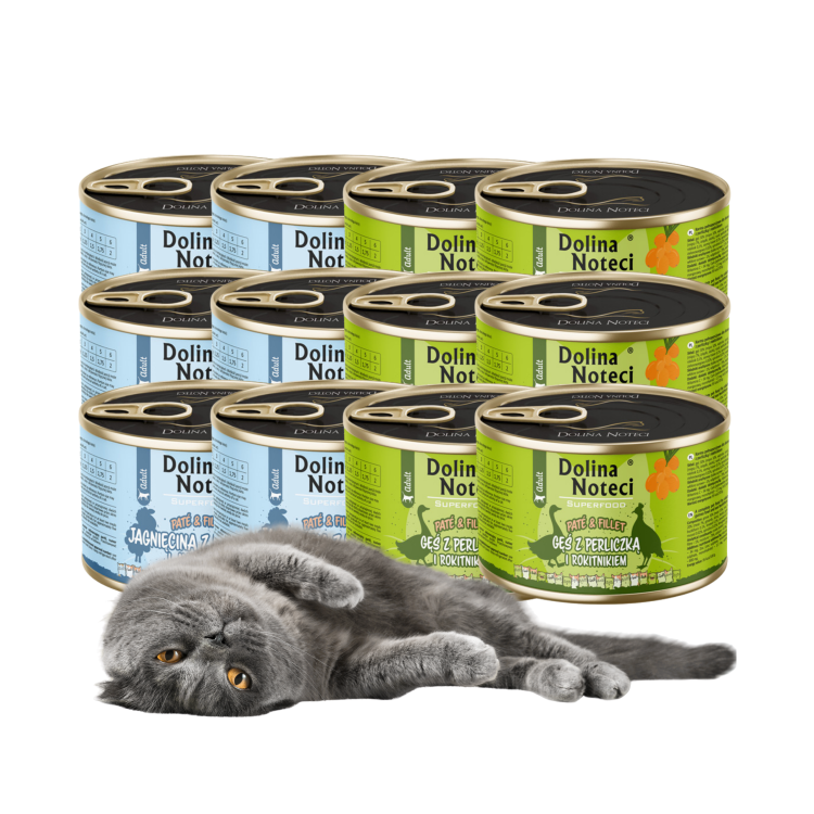 DOLINA NOTECI Superfood pasztet i filet dla kota MIX 12x185g