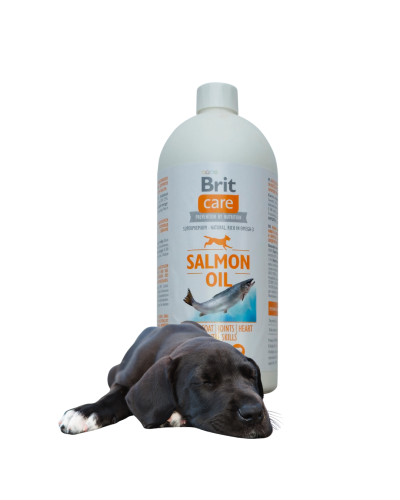 BRIT CARE Olej z łososia dla psa 1000l
