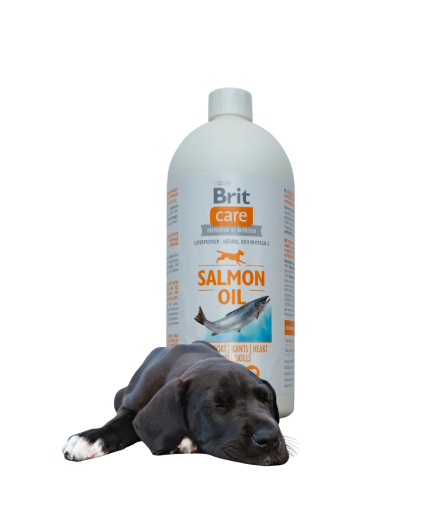 BRIT CARE Olej z łososia dla psa 1000l