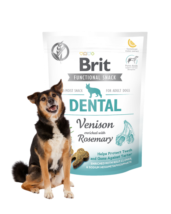 BRIT Dental Przysmak dla psa Dziczyzna z Rozmarynem SNACK 150g