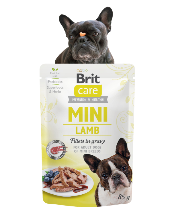 BRIT Care Mini Mokra karma dla psa Jagnięcina 85g Małe Rasy