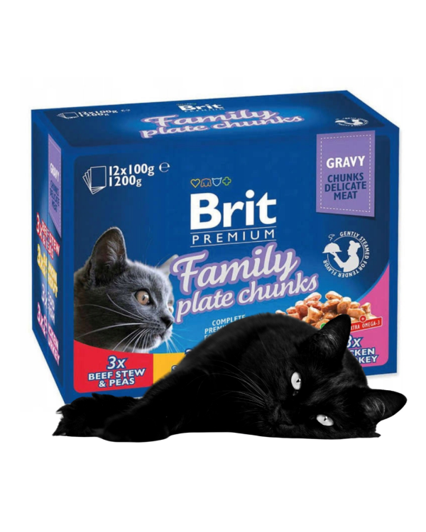 BRIT PREMIUM Mokra karma dla kota Family Plate 12x100g MIX SMAKÓW