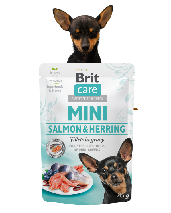 BRIT Care Mini Mokra karma dla psa Łosoś i Śledź 85g Sterilised Małe Rasy