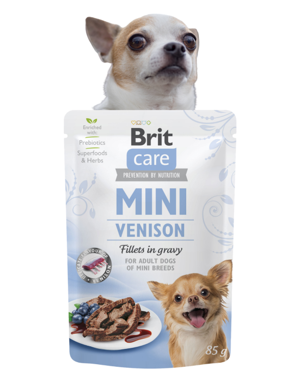BRIT Care Mini Mokra karma dla psa Dziczyzna Fileciki 85g Małe Rasy