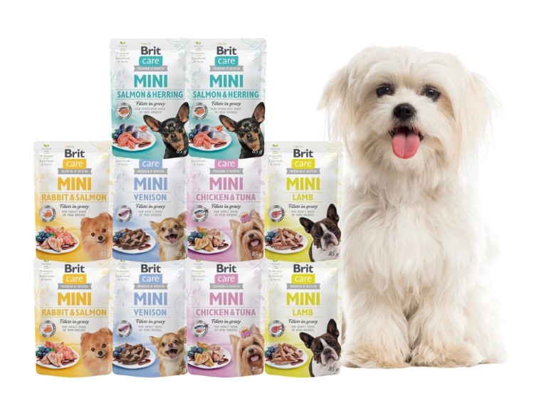 Brit Care Mini mokra karma dla psa MIX smaków 10x85g MAŁE RASY