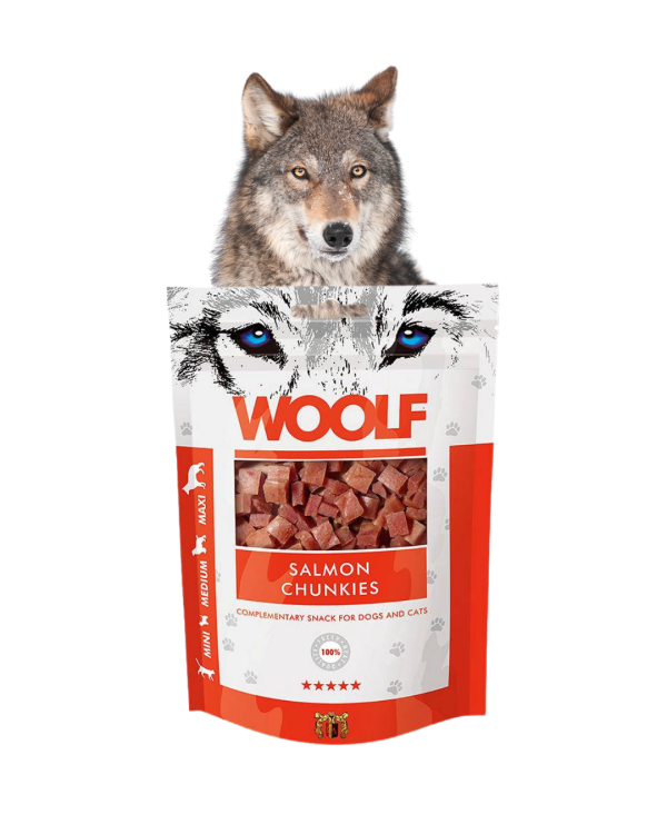 WOOLF Smaczki z Łososiem Przysmak dla psa 100g Gryzaki, Smakołyki