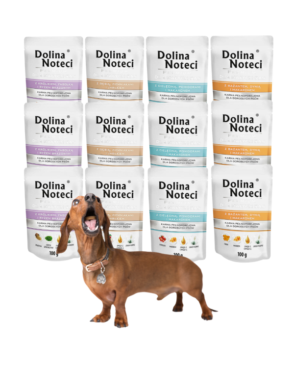 DOLINA NOTECI PREMIUM mokra karma dla psa MIX 12x100g MAŁE RASY