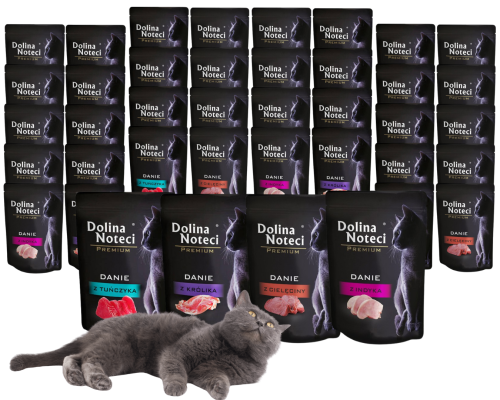 DOLINA NOTECI PREMIUM mokra karma dla kota MIX 40x85g