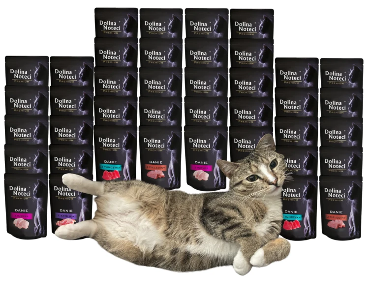DOLINA NOTECI PREMIUM mokra karma dla kota MIX 40x85g