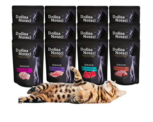 DOLINA NOTECI PREMIUM mokra karma dla kota MIX 12x85g