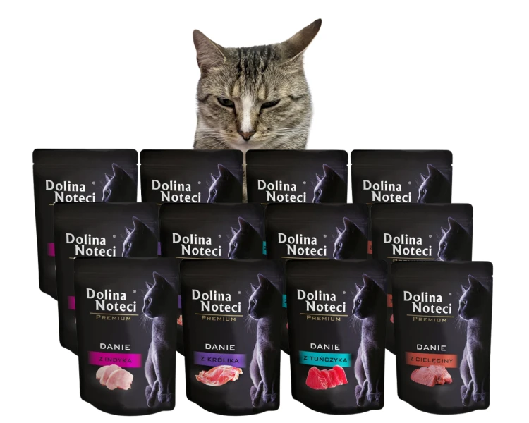 DOLINA NOTECI PREMIUM mokra karma dla kota MIX 12x85g