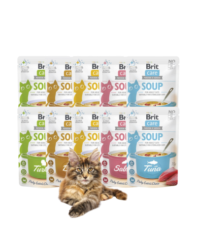 Brit Care Cat Soup Mokra karma dla kota MIX 10x75g Zestaw Zup