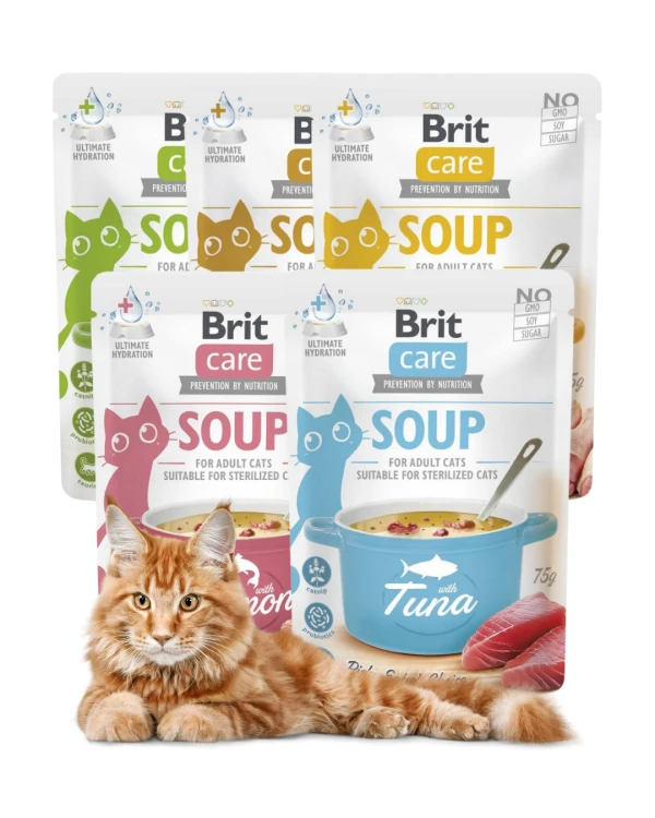 Brit Care Cat Soup Mokra karma dla kota MIX 5x75g