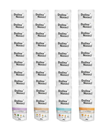DOLINA NOTECI PREMIUM mokra karma dla psa MIX 40x100g MAŁE RASY