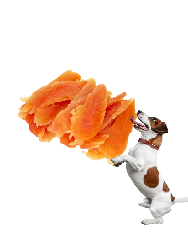 Przysmak dla psa NEKKO Miękki Filet z Kurczaka 500g Gryzak treningowy