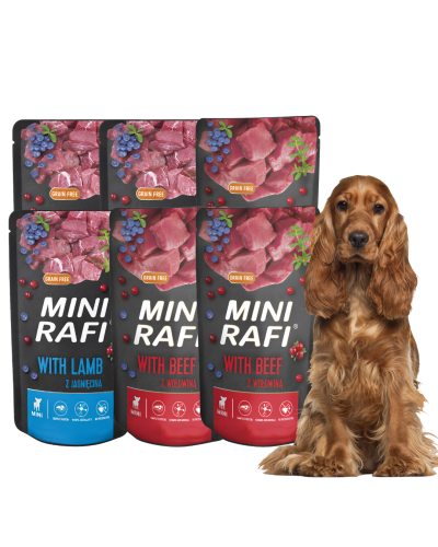 RAFI MINI Karma mokra dla psa mix 6x150g Saszetka Dolina Noteci