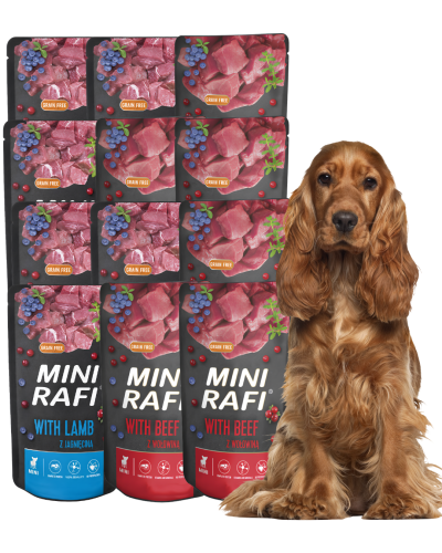 RAFI MINI Karma mokra dla psa MIX 12x150g Saszetka Dolina Noteci