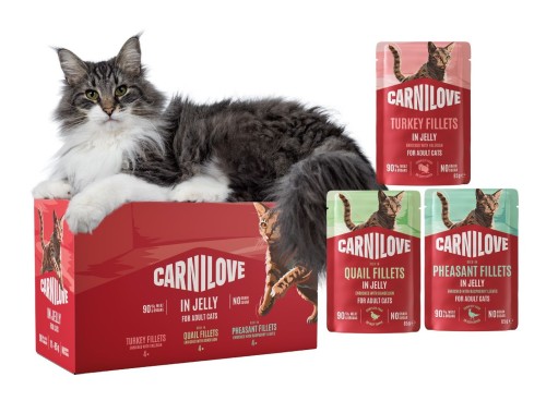 CARNILOVE Mokra karma dla kota MIX SMAKÓW 12x85g MULTIPACK IN JELLY
