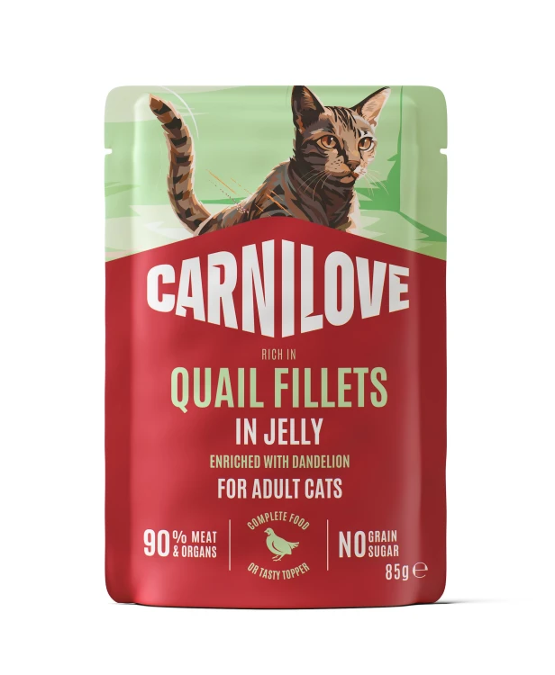 CARNILOVE Mokra karma dla kota MIX SMAKÓW 12x85g MULTIPACK IN JELLY