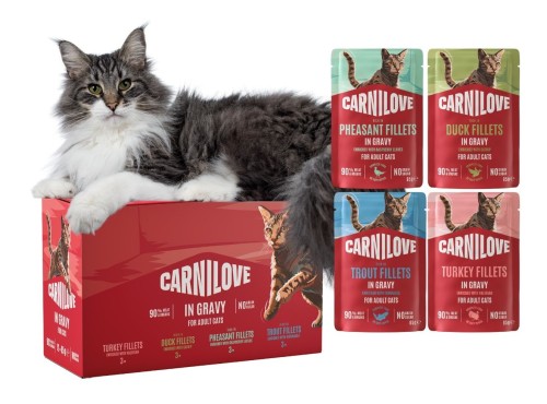 CARNILOVE Mokra karma dla kota MIX SMAKÓW 12x85g MULTIPACK IN GRAVY